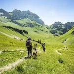Veronica Vr76 Nature & Mountain 3 Pers * Châtel