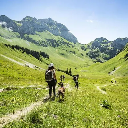 Veronica Vr76 Nature & Mountain 3 Pers * Châtel