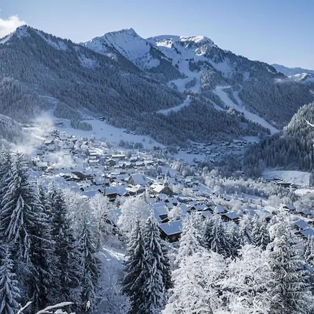 아파트 Veronica Vr76 Nature & Mountain 3 Pers Châtel